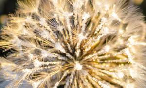 478217_10151241324902707_66946940_o