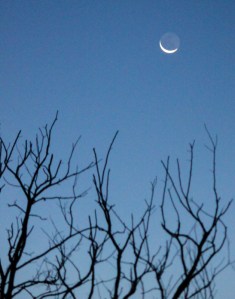 IMG_3847