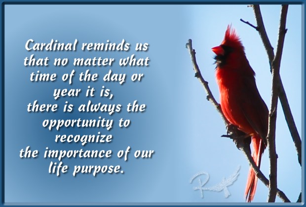 cardinal importance